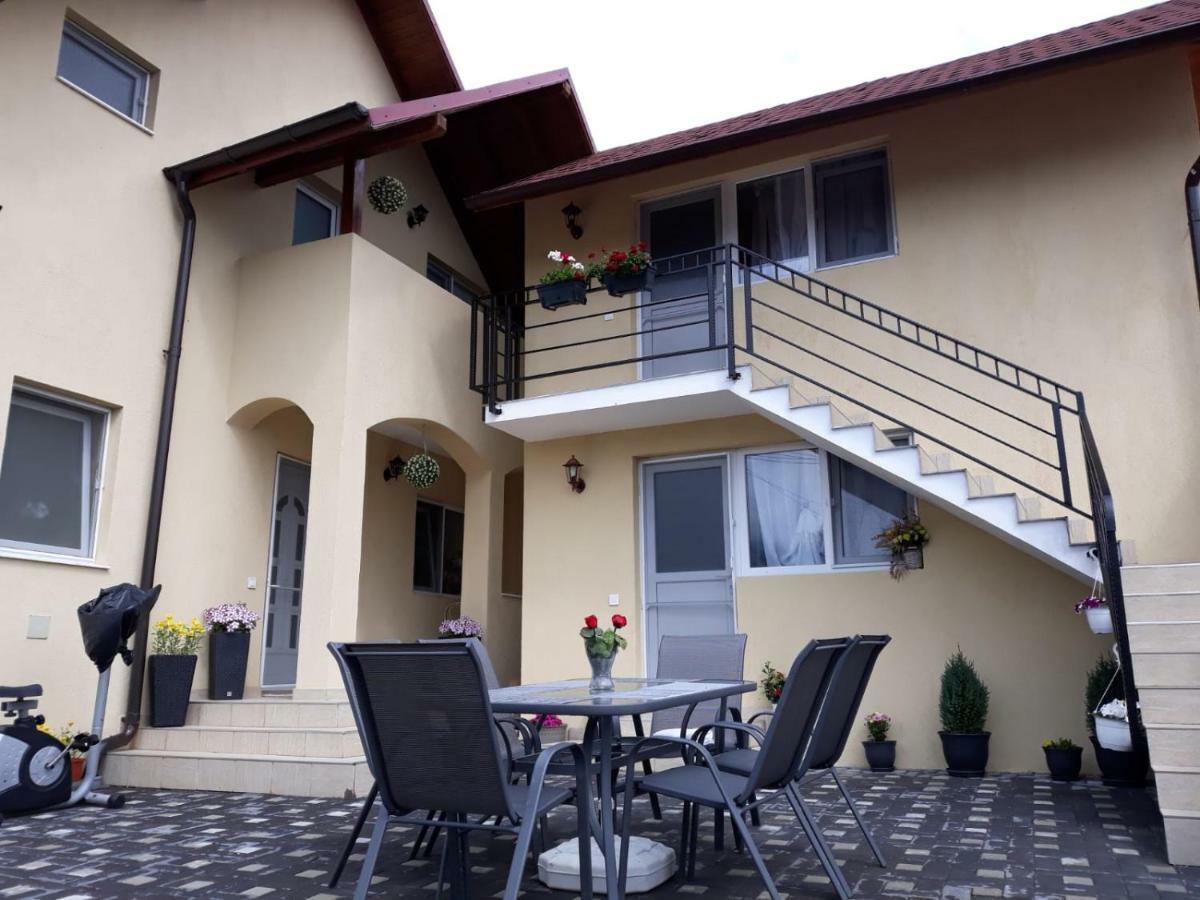 Casa Luisa Apartman Călimăneşti Kültér fotó