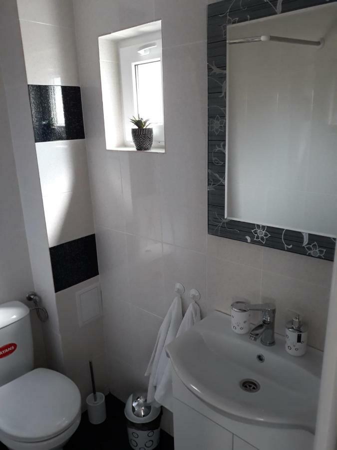 Casa Luisa Apartman Călimăneşti Kültér fotó